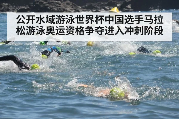 公开水域游泳世界杯中国选手马拉松游泳奥运资格争夺进入冲刺阶段(MG Sports App)